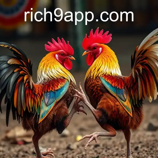 The Rise of Online Sabong: A Deep Dive into Rich9